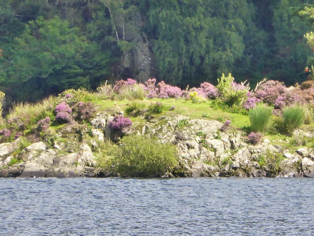 Glenridding House Hotel Bilik gambar
